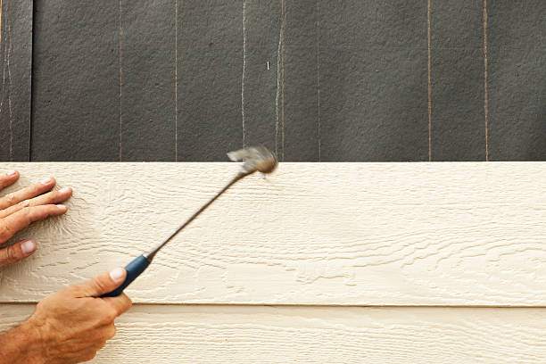 Best Insulated Siding Installation  in Moroni, UT